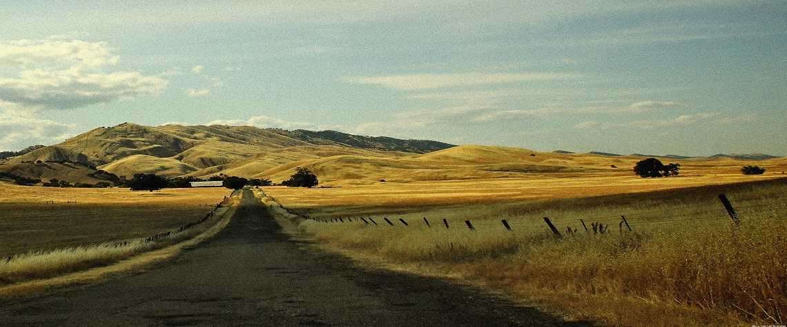 Home the way 4.webp